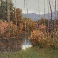 Hawk Brook 16x24