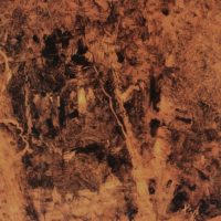 Interior Of The Wood 12x8