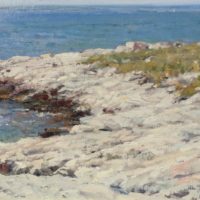 Star Island Summer 8x12