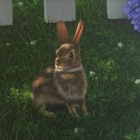 Island Bunny 16x20 Island Bunny 16x20