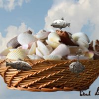 Shell Fish 20x27 Shell Fish 20x27