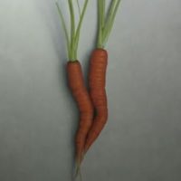Carrot Spoon 23x15 Carrot Spoon 23x15