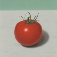 Medium Red Tomato 7x7 Medium Red Tomato 7x7