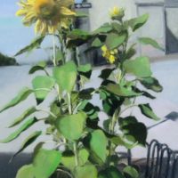 Urban Sunflower